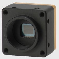 BC-SM12M6X1